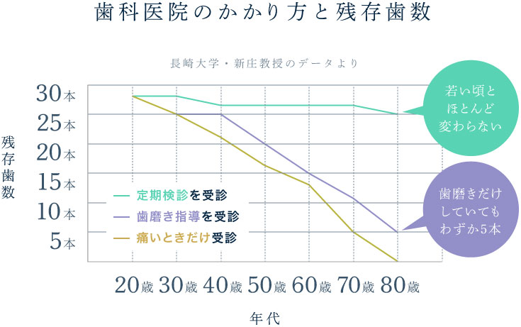 歯科医院のかかり方と残存歯数